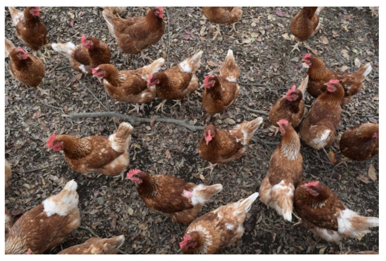 スクリーンショット 2025-06-09 午後12.23.12