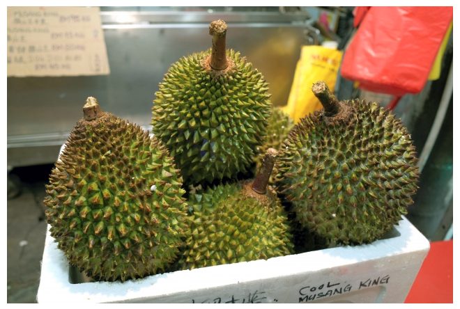 スクリーンショット 2026-02-27 午前10.17.11